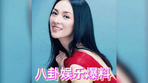 娱乐明星吃瓜专栏在线观看