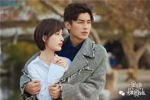 娱乐吃小瓜杨旭文,娱乐吃瓜背后的成长与蜕变